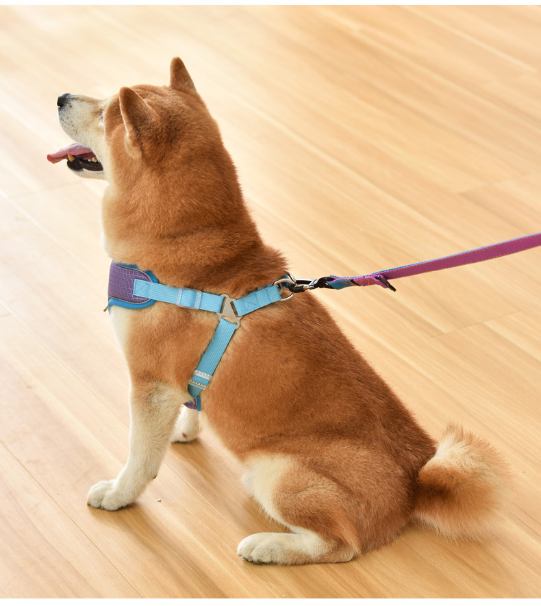 犬 ハーネス メッシュ通気性ハーネス