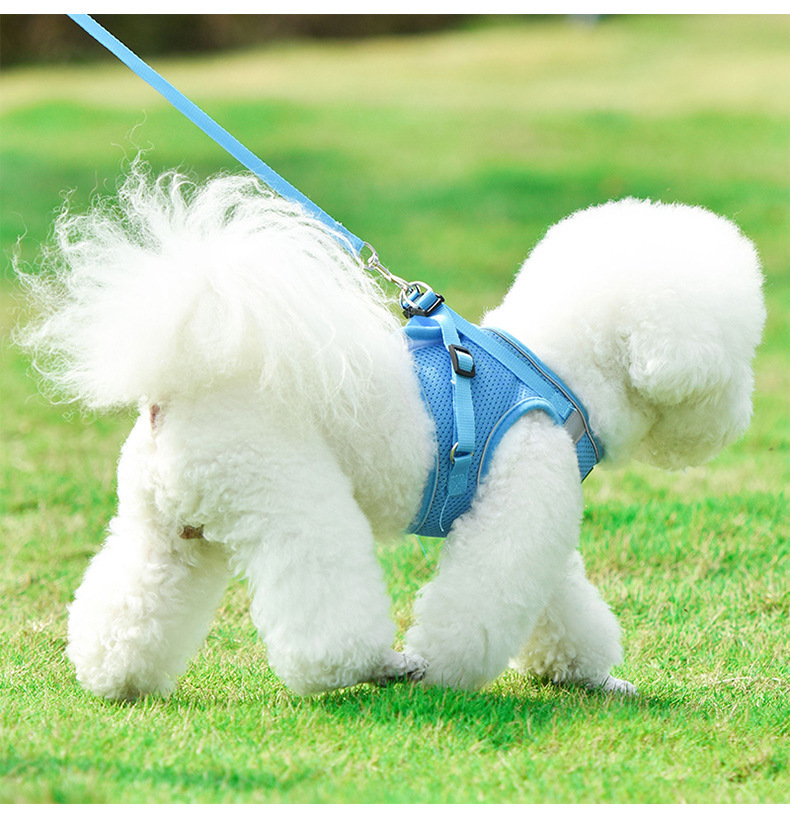 https://fulmo-img-server.com/wonderfulharness/6220cf1c-2c65-4769-93a5-d24b1bdaa860.jpg