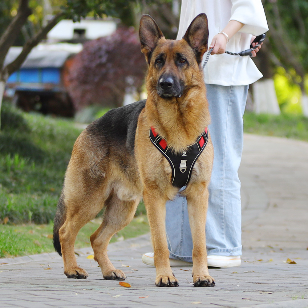 犬 ハーネス なめらかフィット 軽量ハーネス