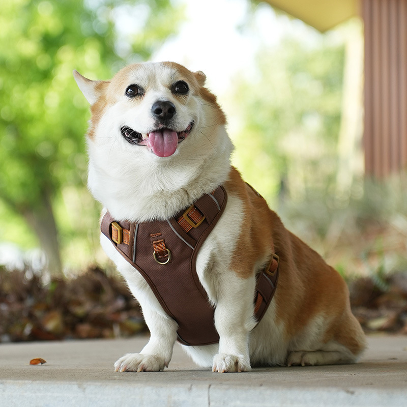 犬 ハーネス やさしさ包む ふんわりメッシュハーネス