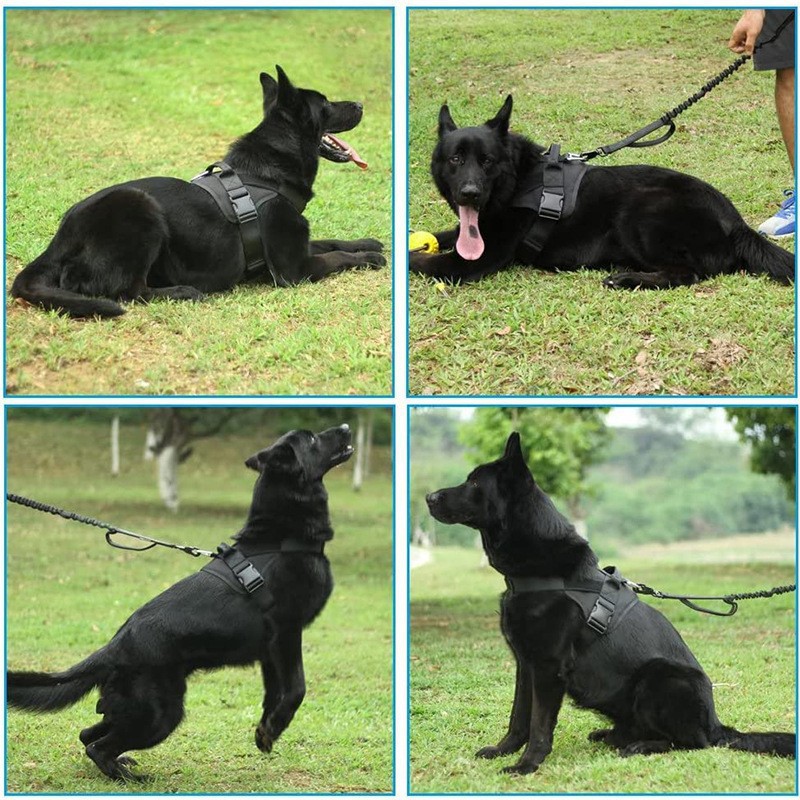 犬 ハーネス 耐久性抜群 軍用スタイルハーネス
