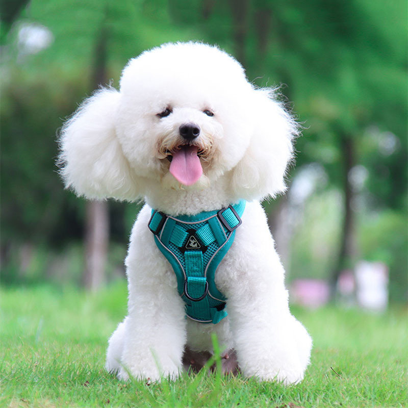 犬 ハーネス やわらか通気メッシュハーネス