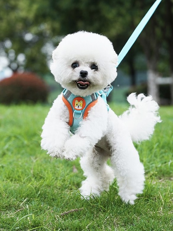 犬 ハーネス ふわもこ子犬のお散歩ハーネス＆リードセット
