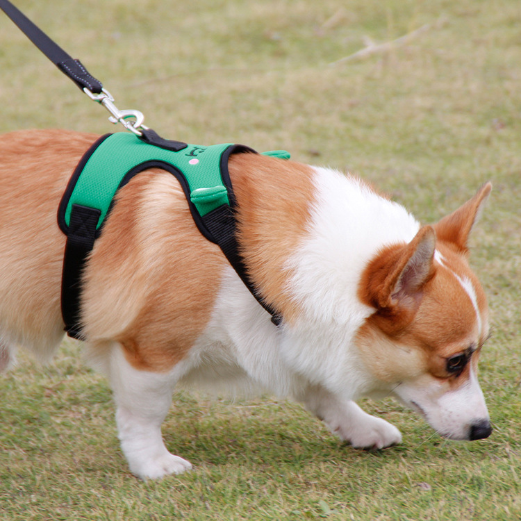 犬 ハーネス かえるさんハーネス
