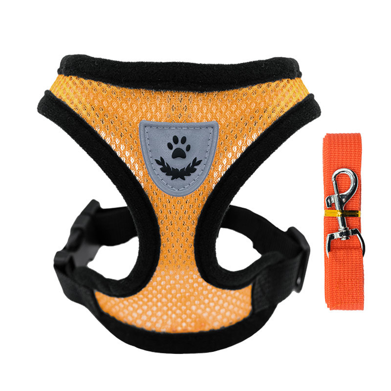https://fulmo-img-server.com/wonderfulharness/630bd6ca-a6f3-4d43-98c9-bbc58662ef4c.jpg