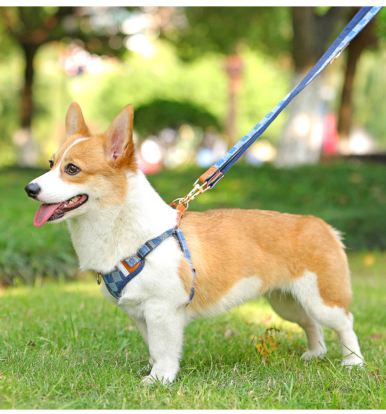犬 ハーネス やわらか素材の軽量ペアハーネス