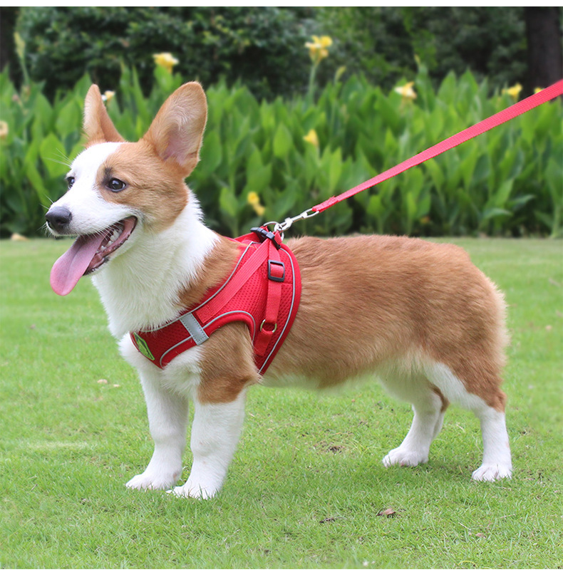 犬 ハーネス やさしさ包む メッシュハーネス