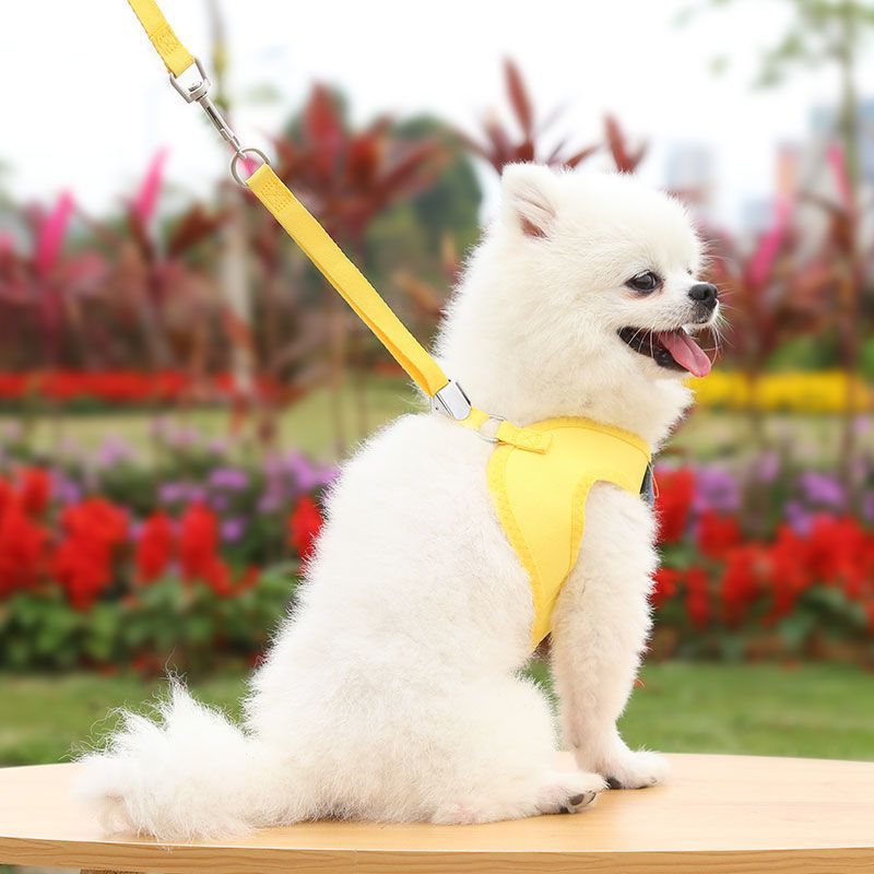 犬 ハーネス 愛らしい子犬用パピーハーネス
