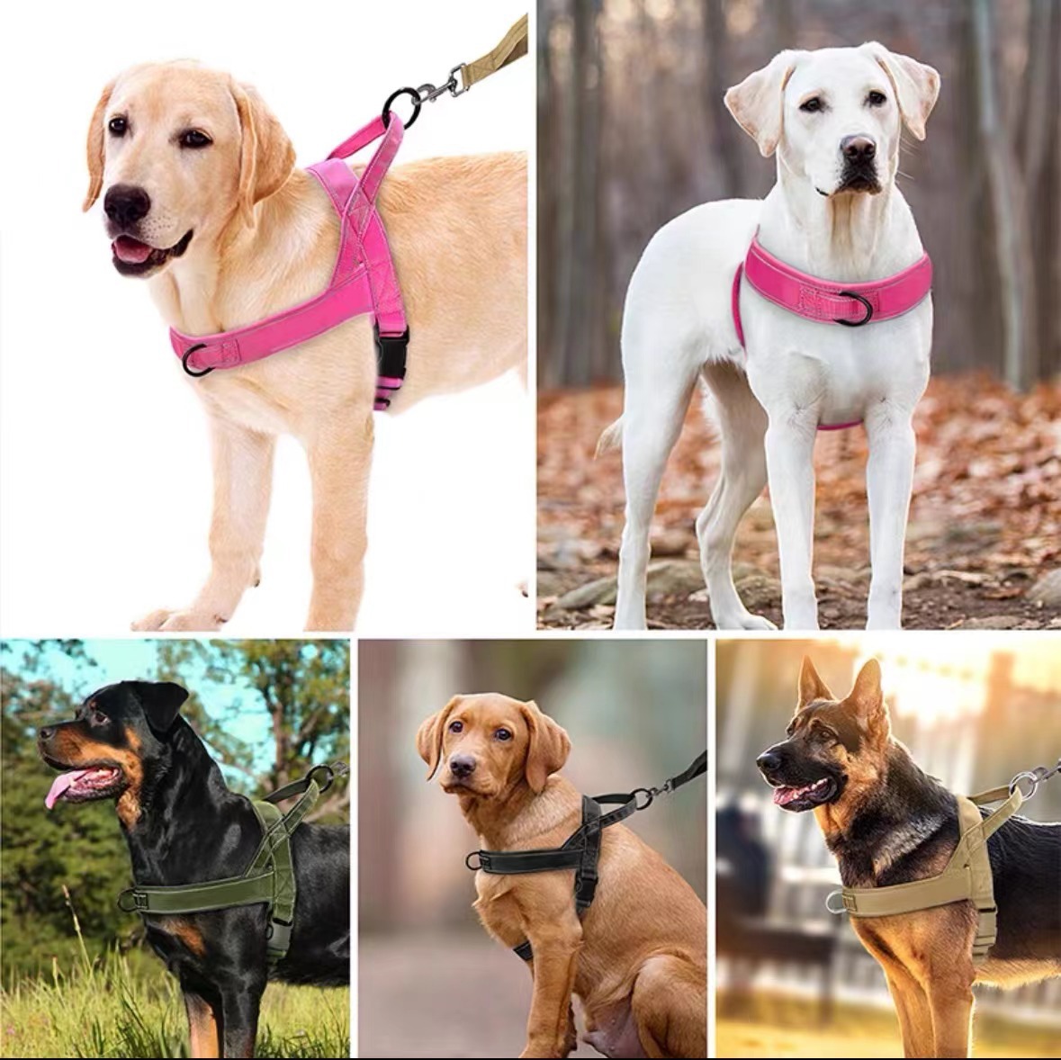 犬 ハーネス やさしい背中の軽量ハーネス