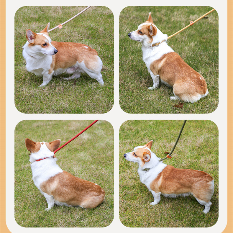 犬 ハーネス なめらかループ ペット用ハーネス