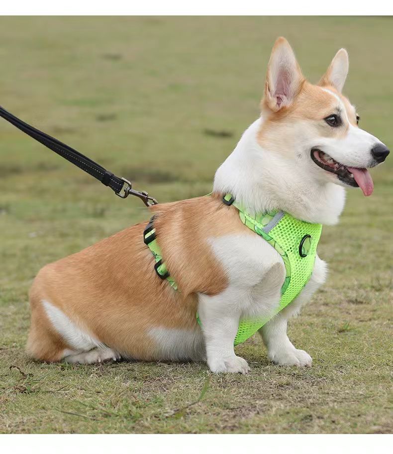 犬 ハーネス メッシュ素材の涼やか散歩ハーネス