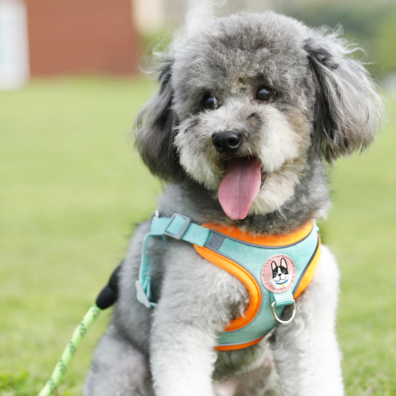 犬 ハーネス やわらか快適ペットハーネス