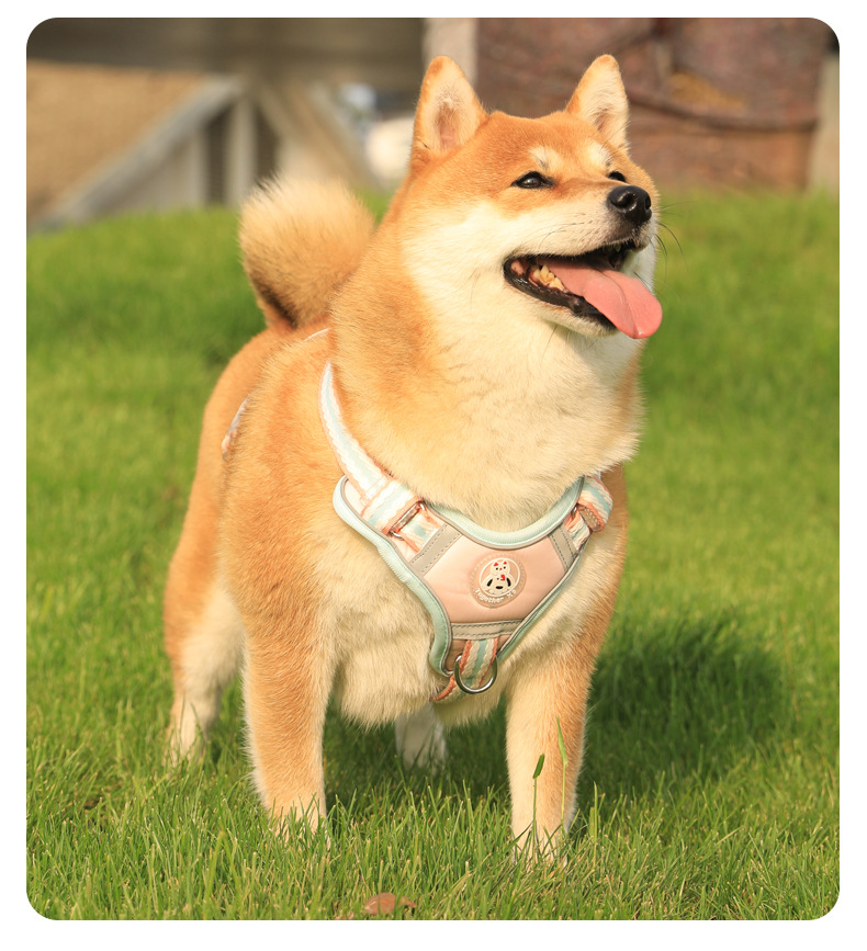 犬 ハーネス やわらか素材の四季彩ハーネス