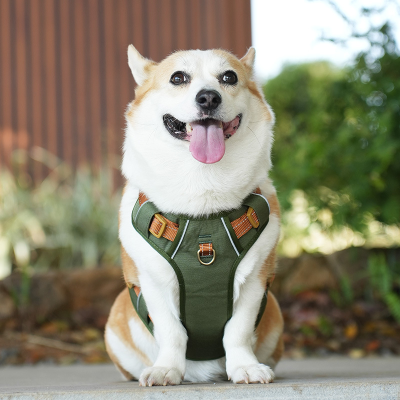 犬 ハーネス やさしさ包む ふんわりメッシュハーネス