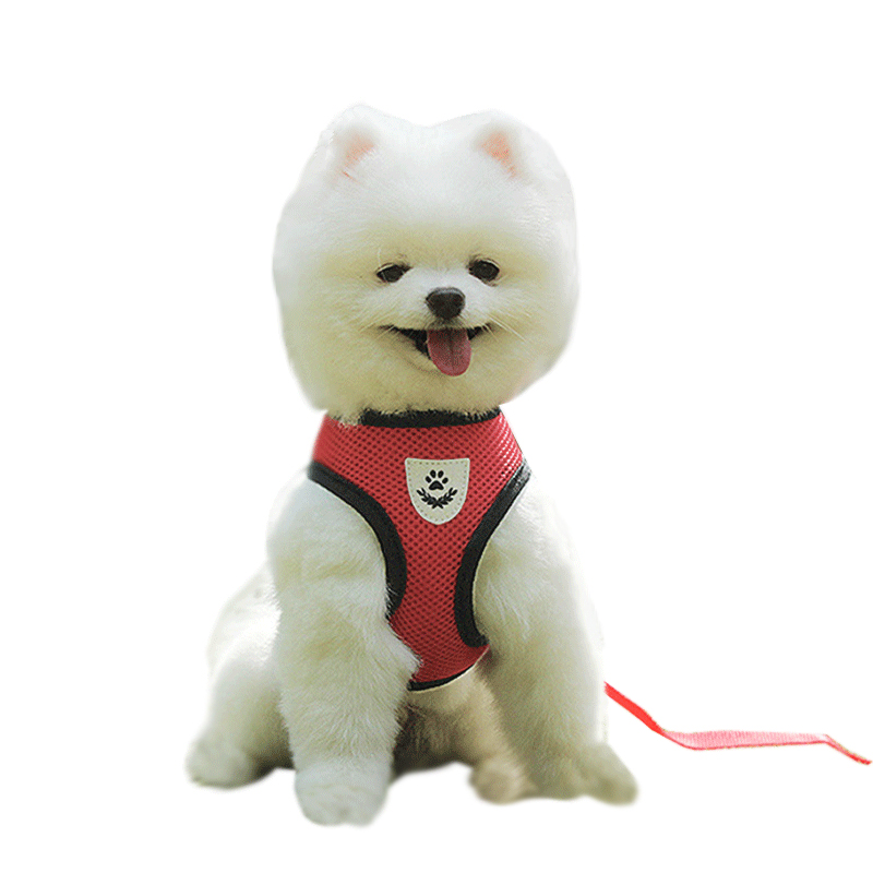 犬 ハーネス やさしい呼吸メッシュハーネス