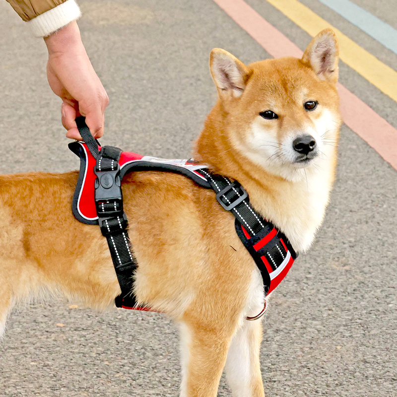 犬 ハーネス 軽量スタイリッシュ ホールドハーネス
