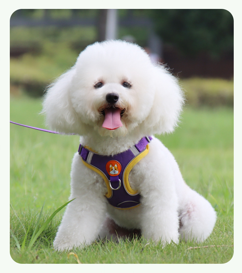 犬 ハーネス なめらか安心ハーネス