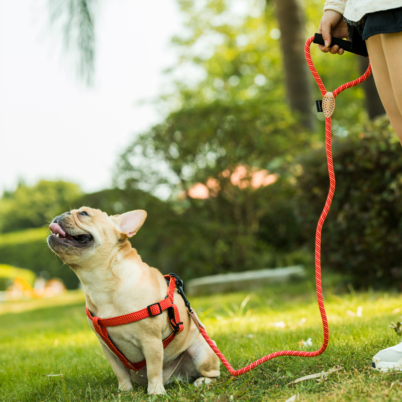 犬 ハーネス 散歩上手メッシュハーネスセット