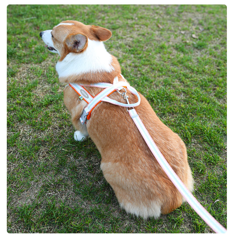 犬 ハーネス やさしさ重視 ソフトフィットハーネス