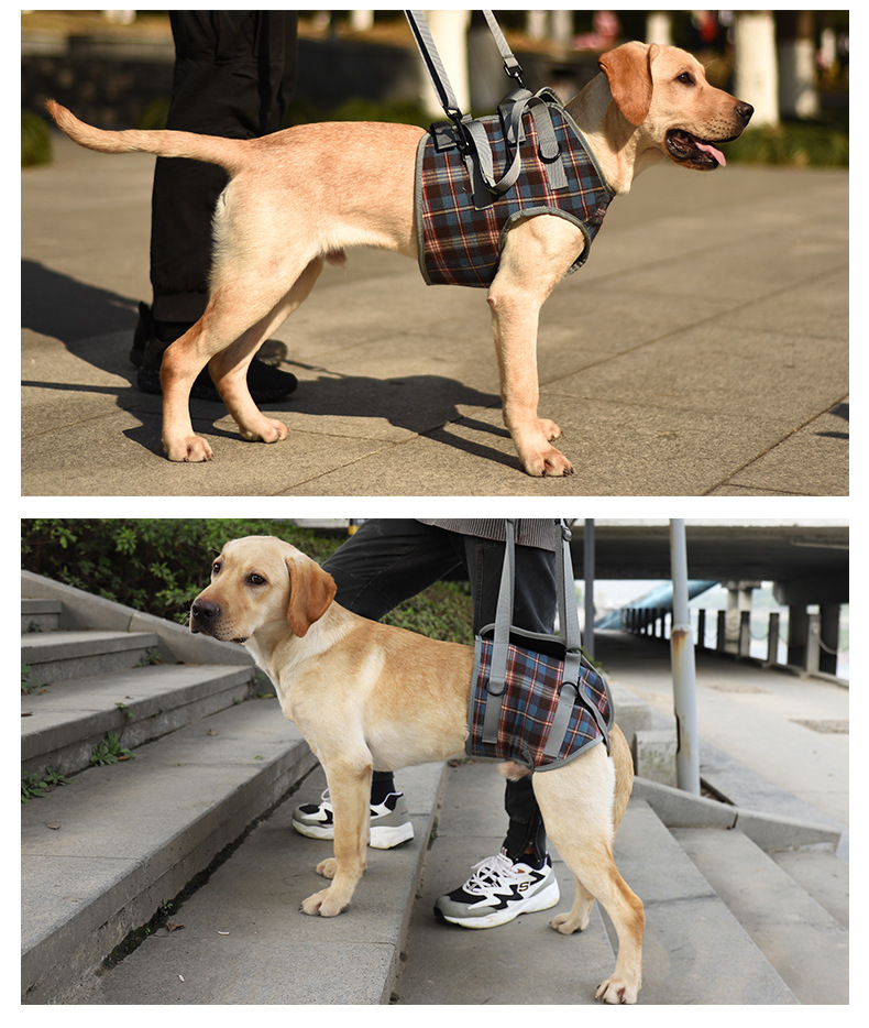 犬 ハーネス おでかけ安心ハーネス