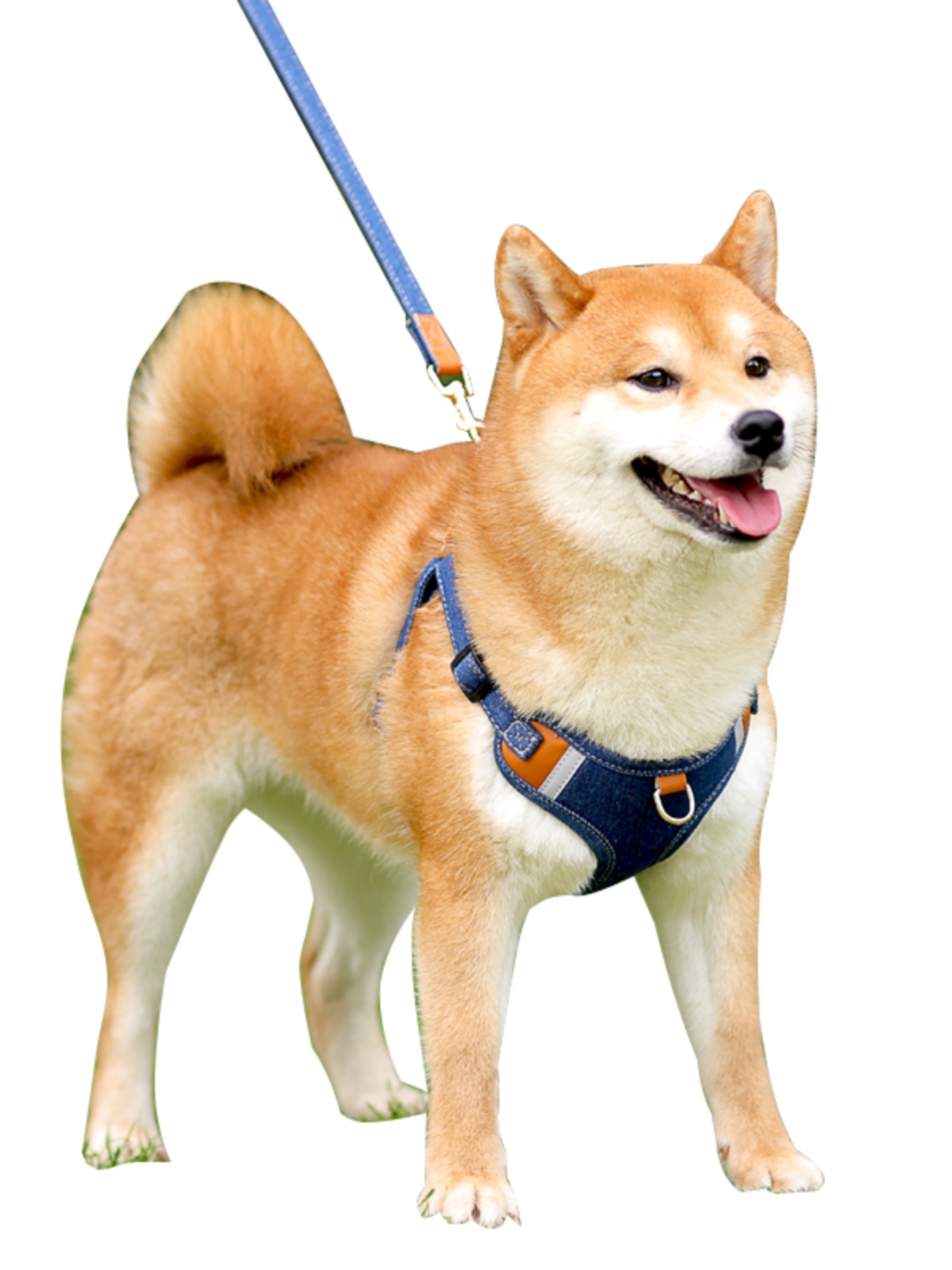 犬 ハーネス 柔らか素材のやさしいハーネス