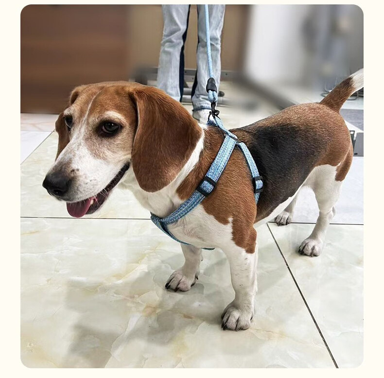 犬 ハーネス やさしい呼吸ハーネス