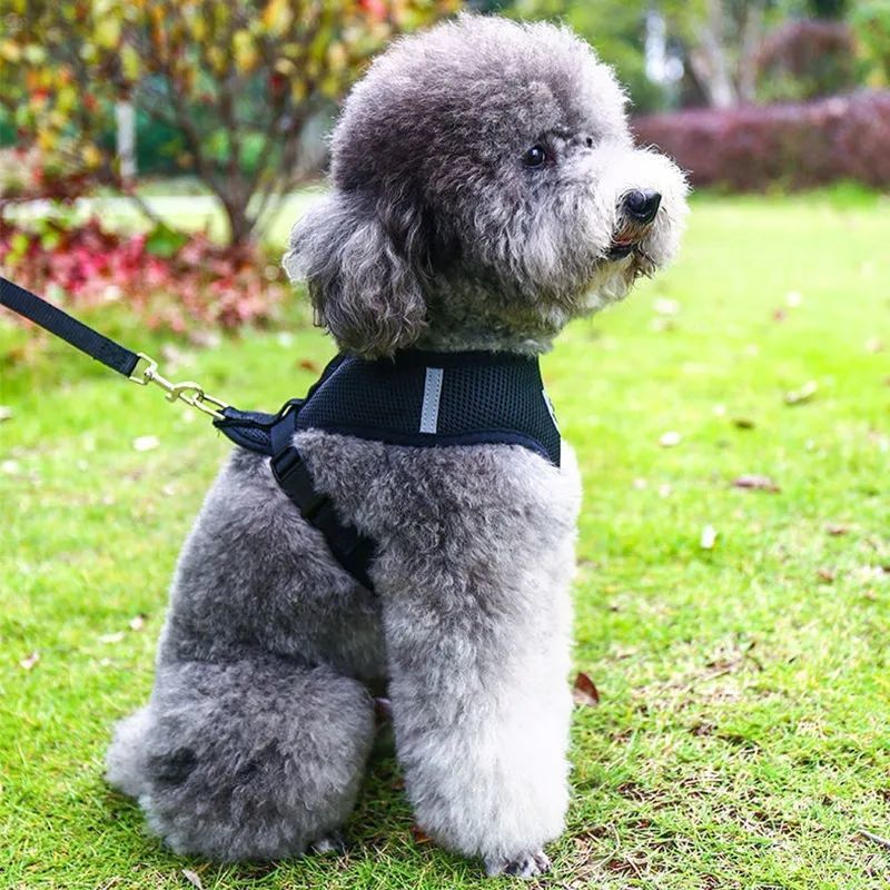 犬 ハーネス メッシュ通気性ハーネス快適ウェア