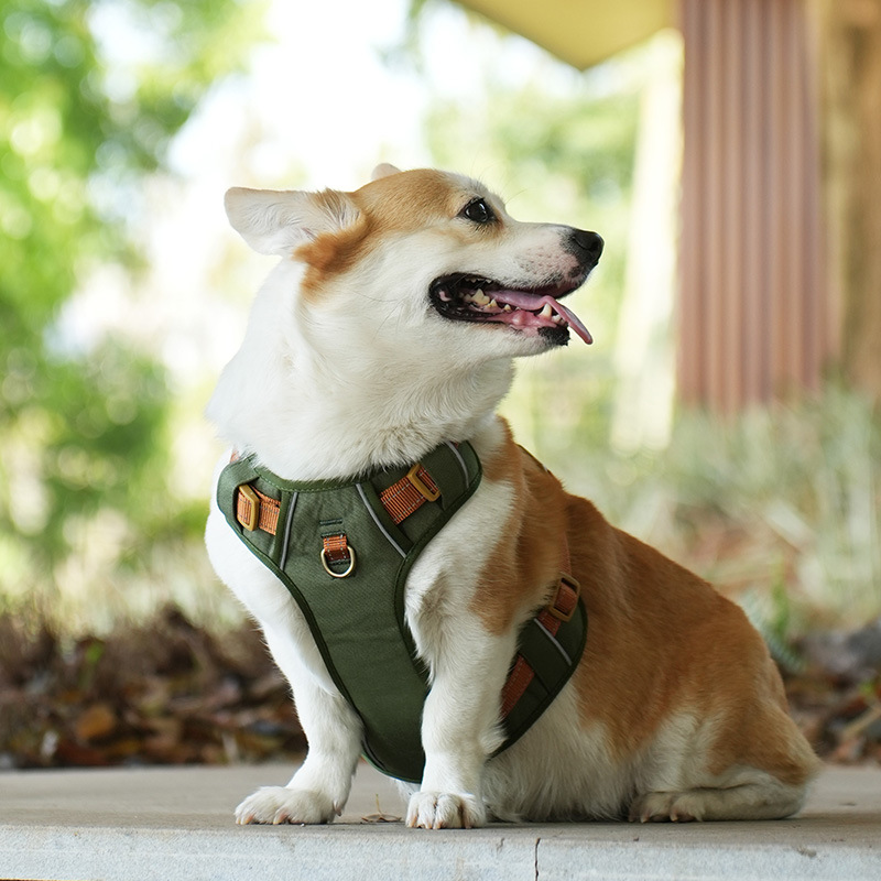 犬 ハーネス やさしさ包む ふんわりメッシュハーネス