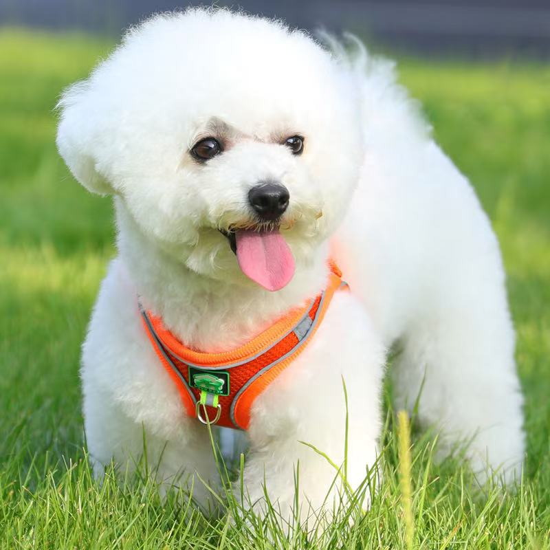 犬 ハーネス メッシュ通気性ハーネス