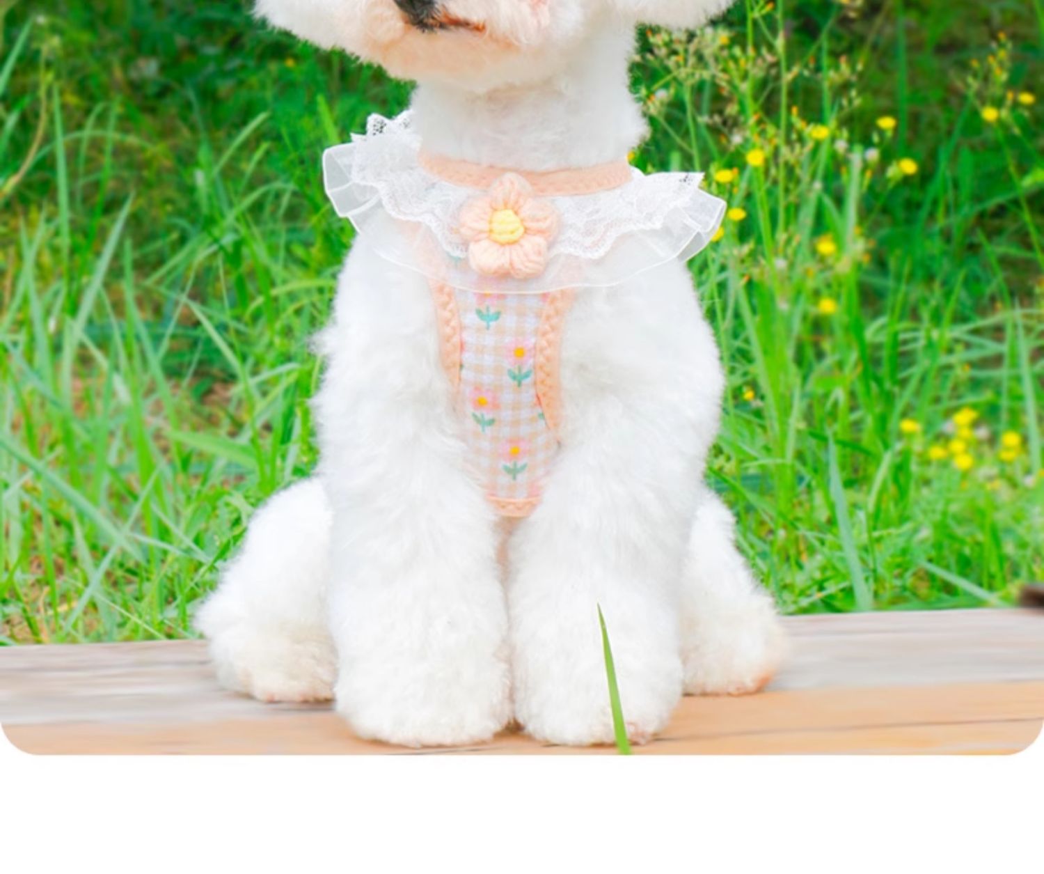 犬 ハーネス ふんわりレース花飾りハーネス