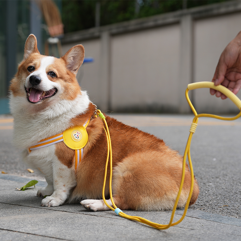 犬 ハーネス シンプル三本ライン ペット用ハーネス