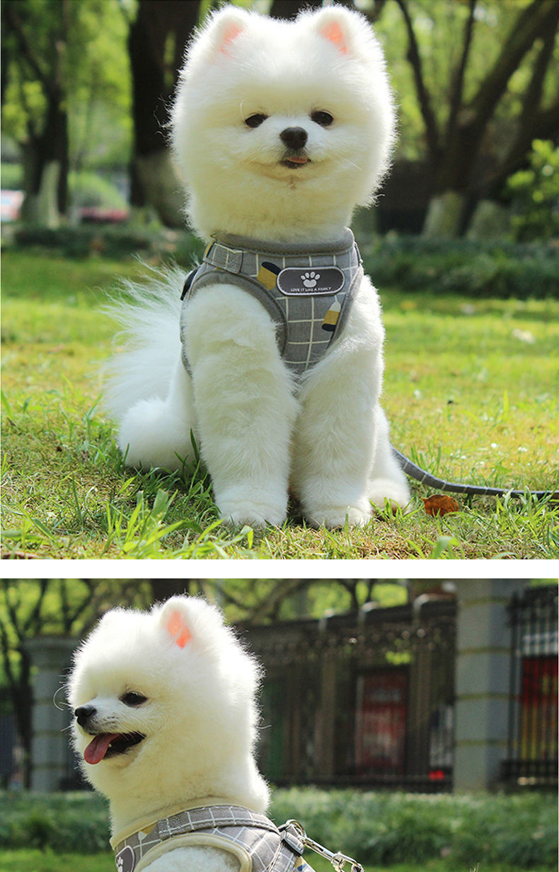 犬 ハーネス メッシュ素材のやさしいハーネス