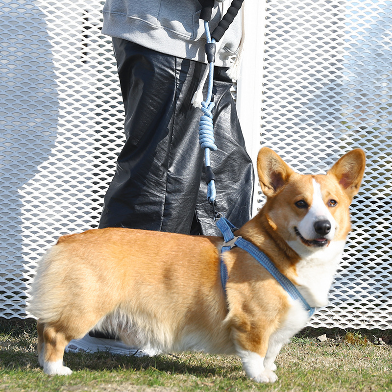 犬 ハーネス やわらか編みハーネス