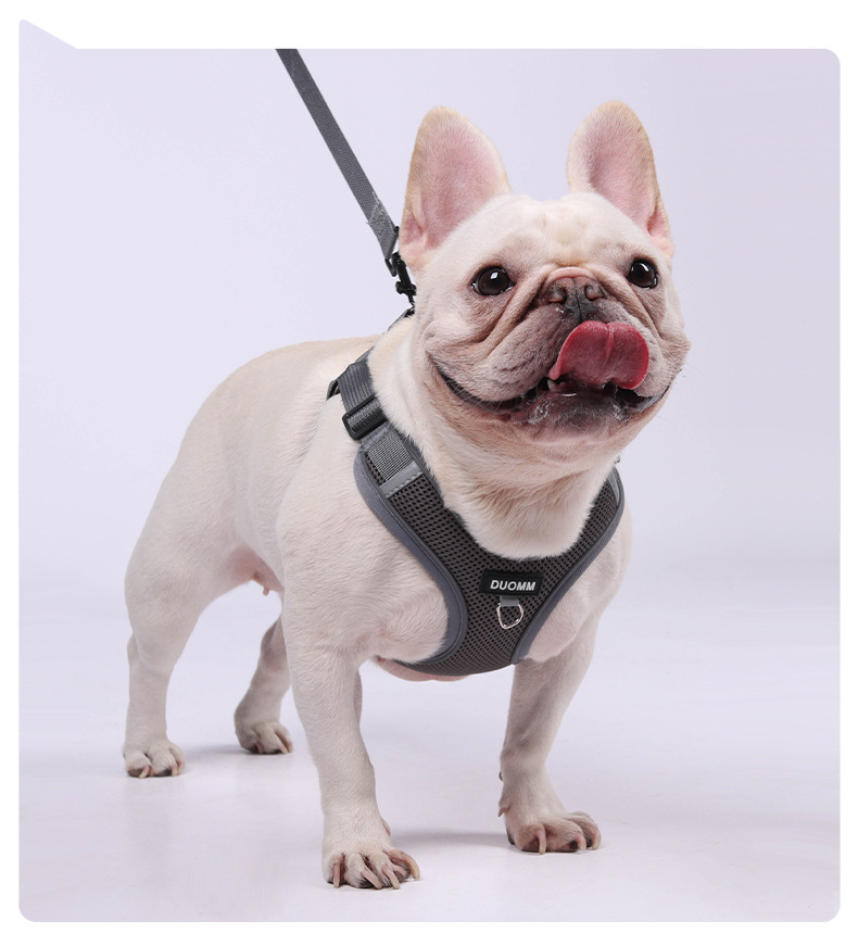 犬 ハーネス やさしい散歩ハーネス ゆったりフィット