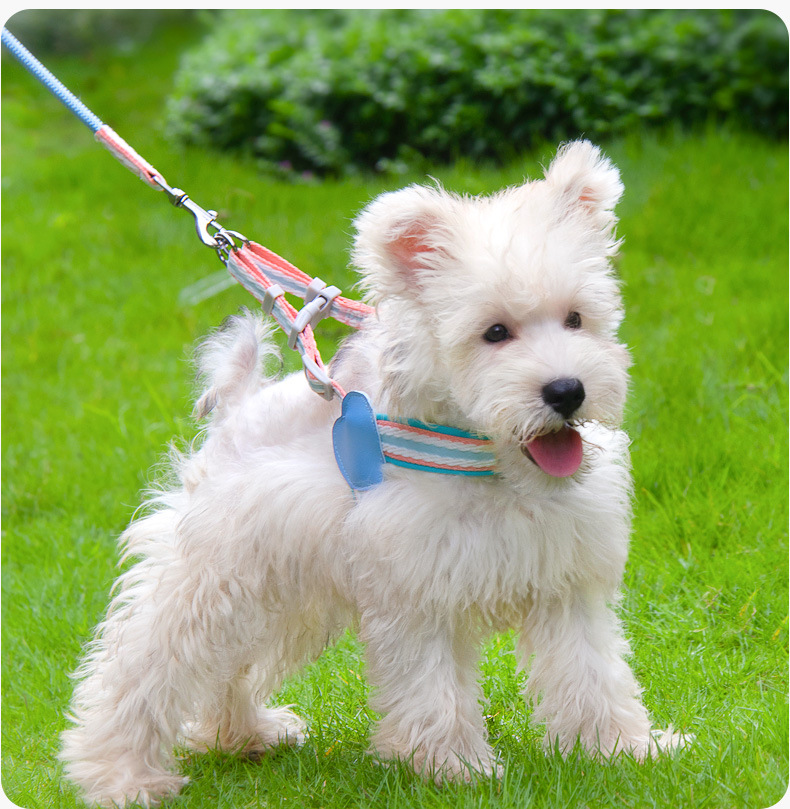 犬 ハーネス やわらか優美ハーネス
