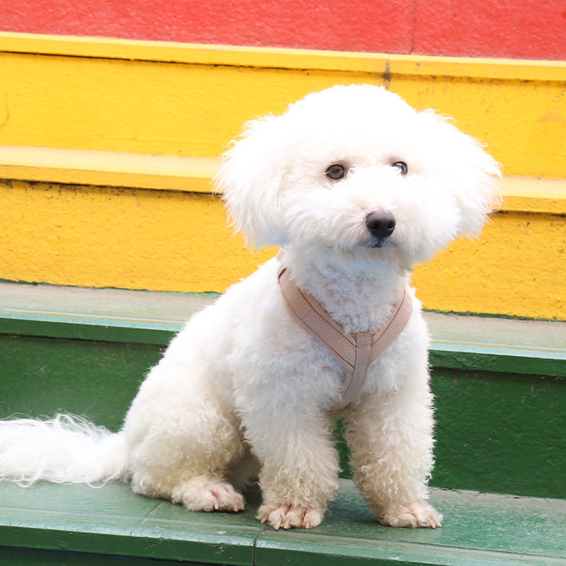 犬 ハーネス やさしい呼吸 ふわもこハーネス