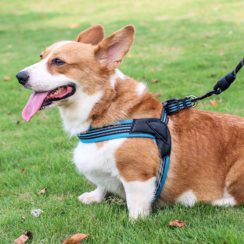 犬 ハーネス 上質ストレッチメッシュハーネス