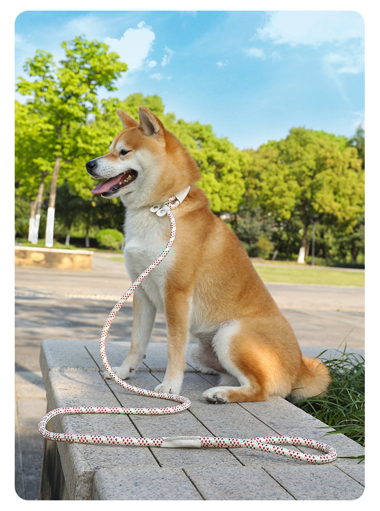犬 ハーネス 輝きロープリード