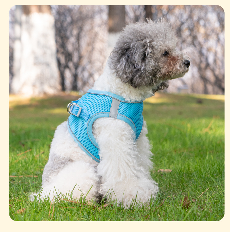 犬 ハーネス メッシュ素材 快適ハーネス