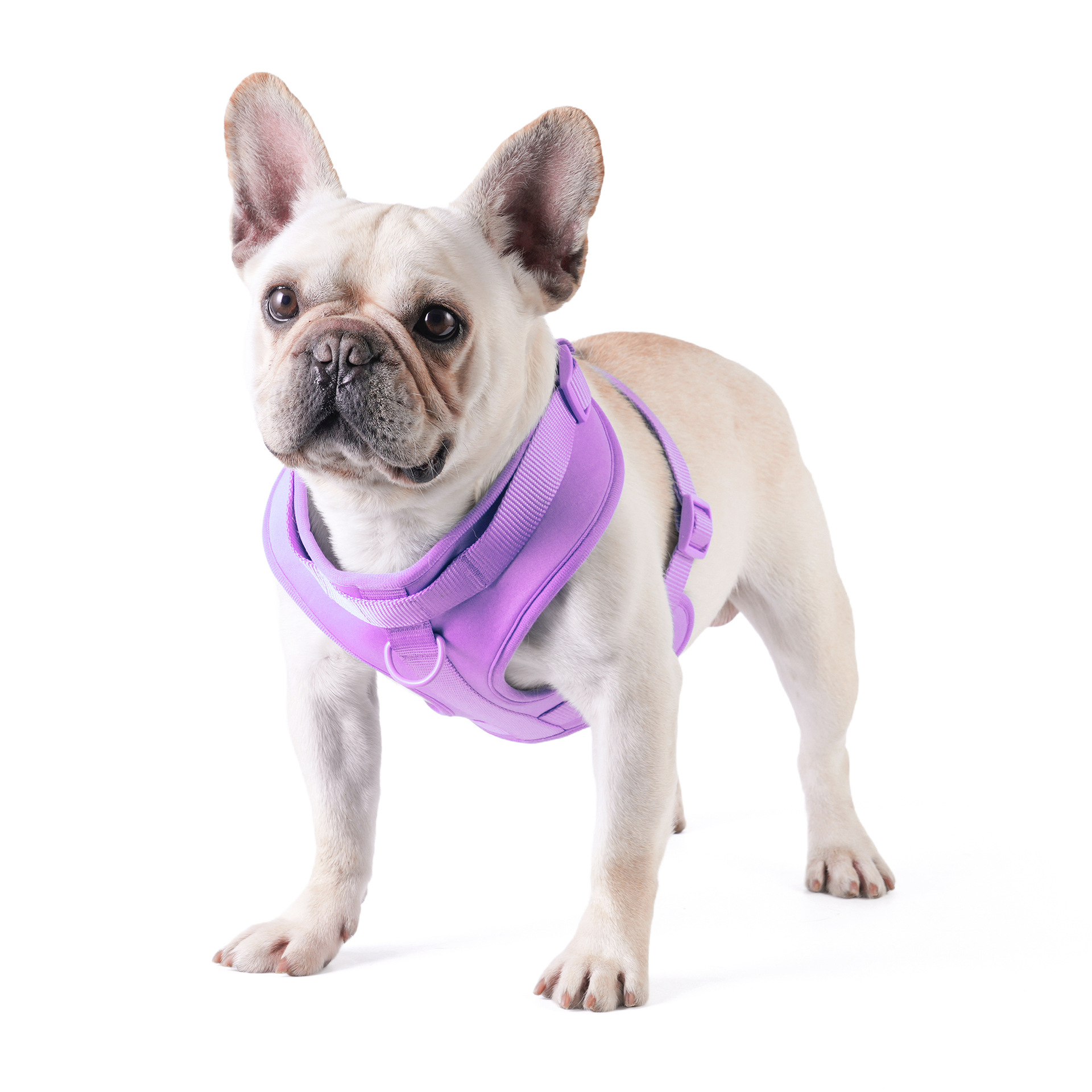 犬 ハーネス やさしさ包む 軽やか散歩ハーネス