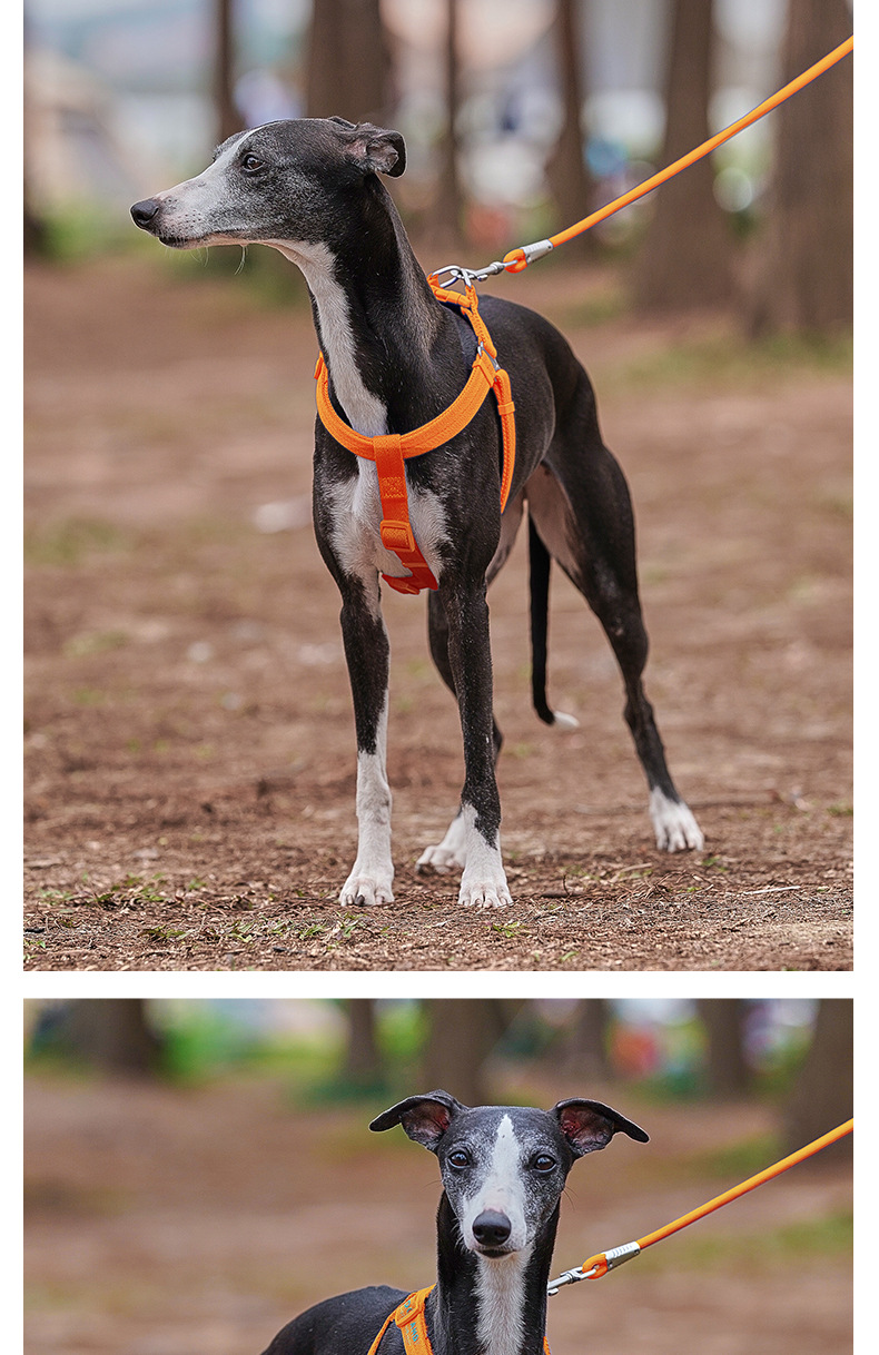 犬 ハーネス すらりと軽やか シンズハーネス