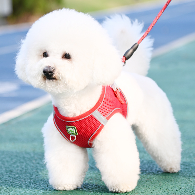 犬 ハーネス やさしい呼吸メッシュハーネス
