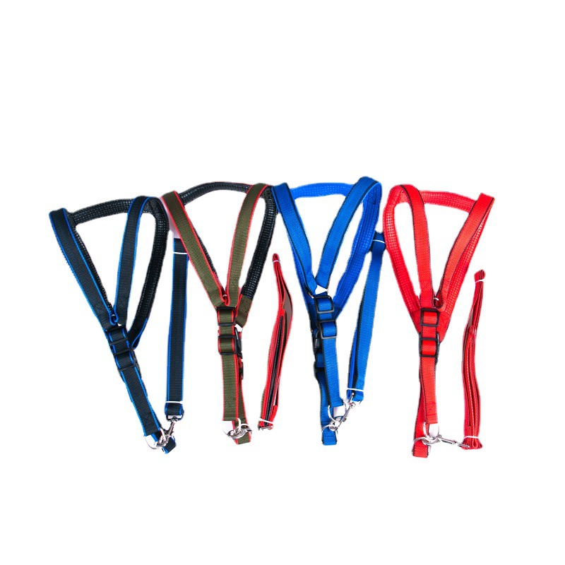 https://fulmo-img-server.com/wonderfulharness/6ae79a4f-dd5c-41a1-87f6-5e4c6ea074ae.jpg