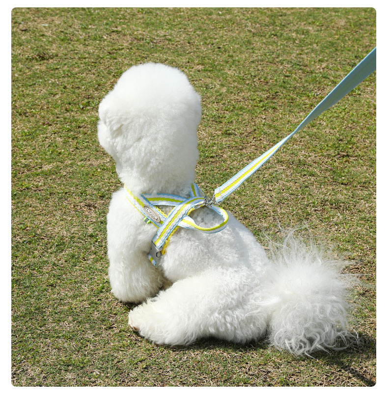 犬 ハーネス やさしさ重視 ソフトフィットハーネス
