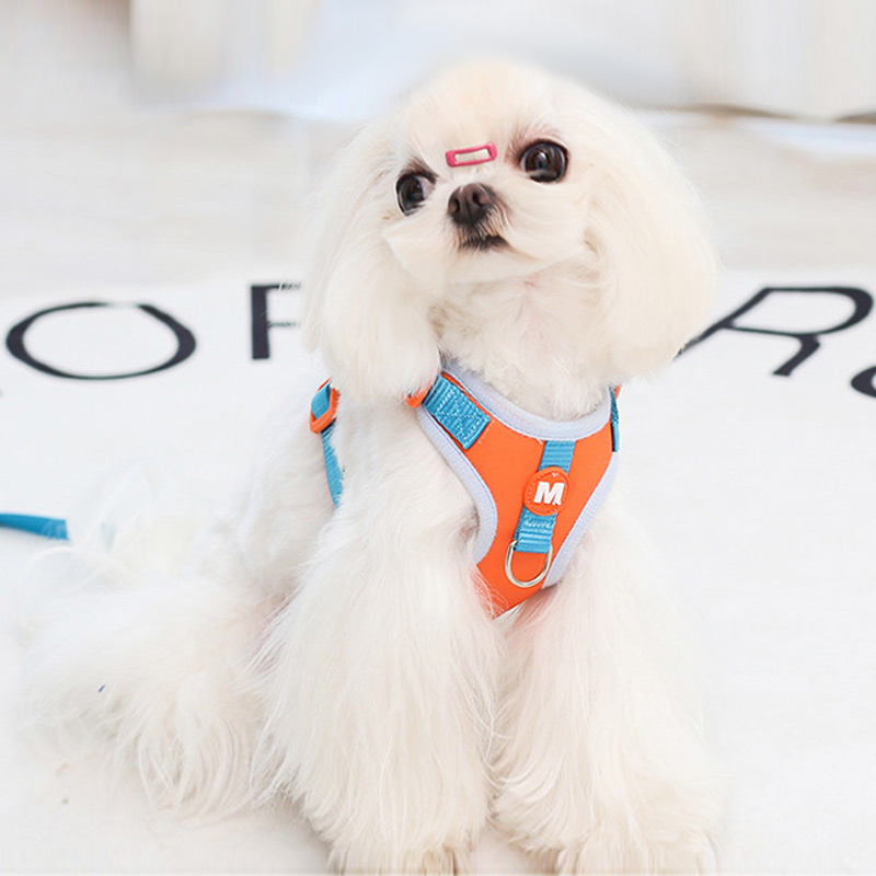 犬 ハーネス おさんぽアヒルさんハーネスセット