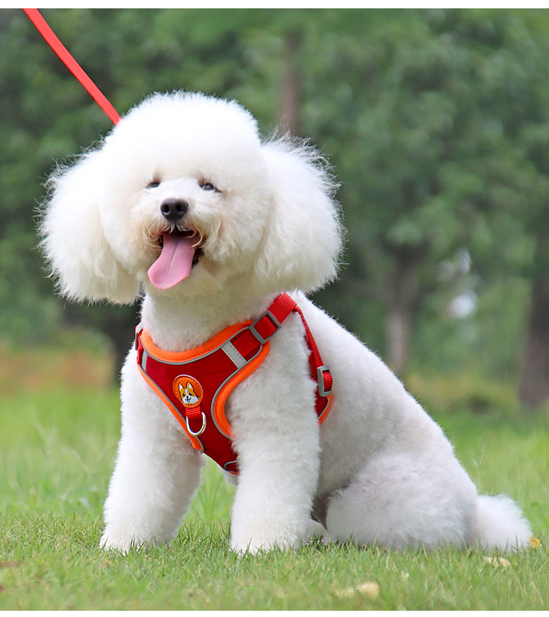 犬 ハーネス やわらか安心ハーネス