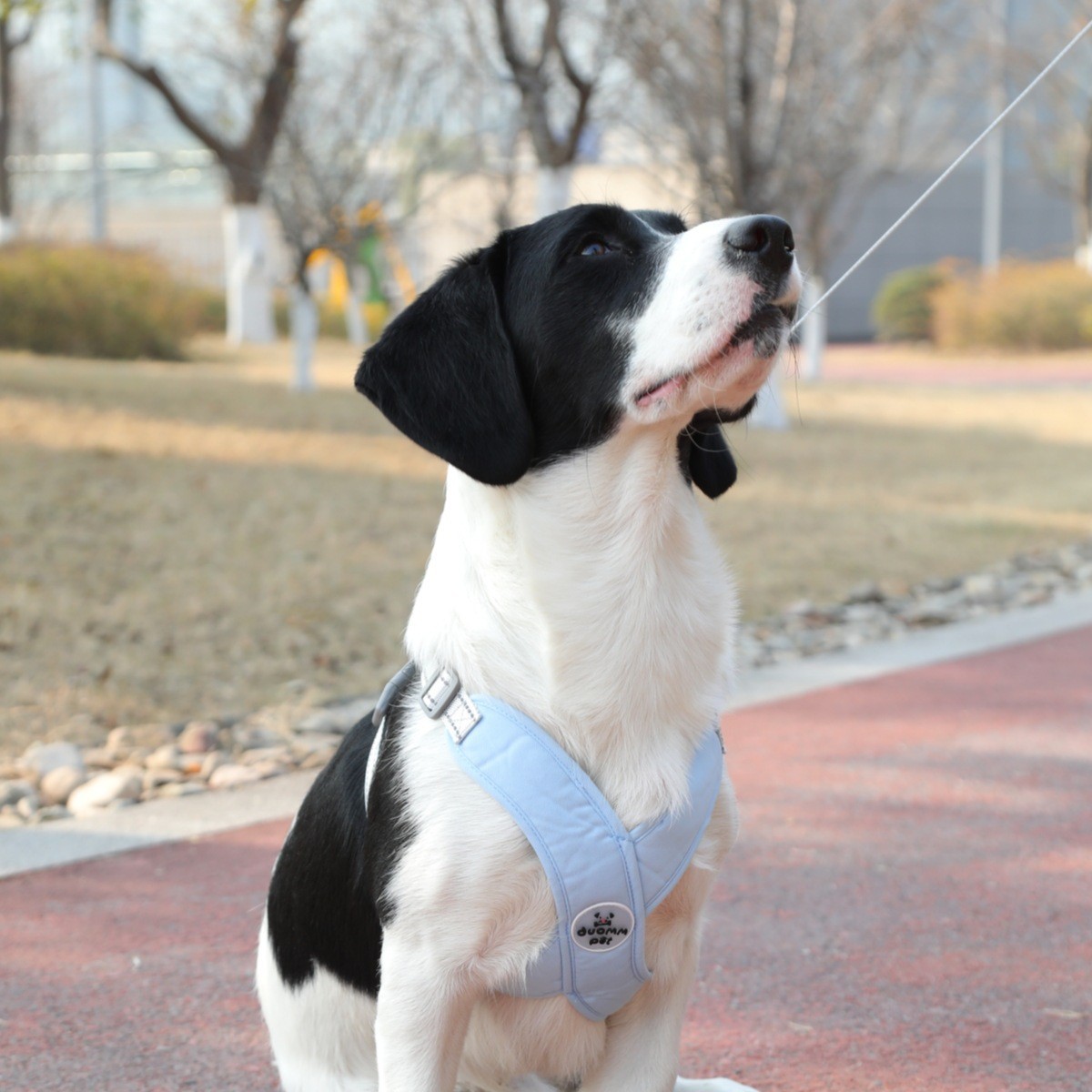 犬 ハーネス やさしさ包む うっとり安心ハーネス