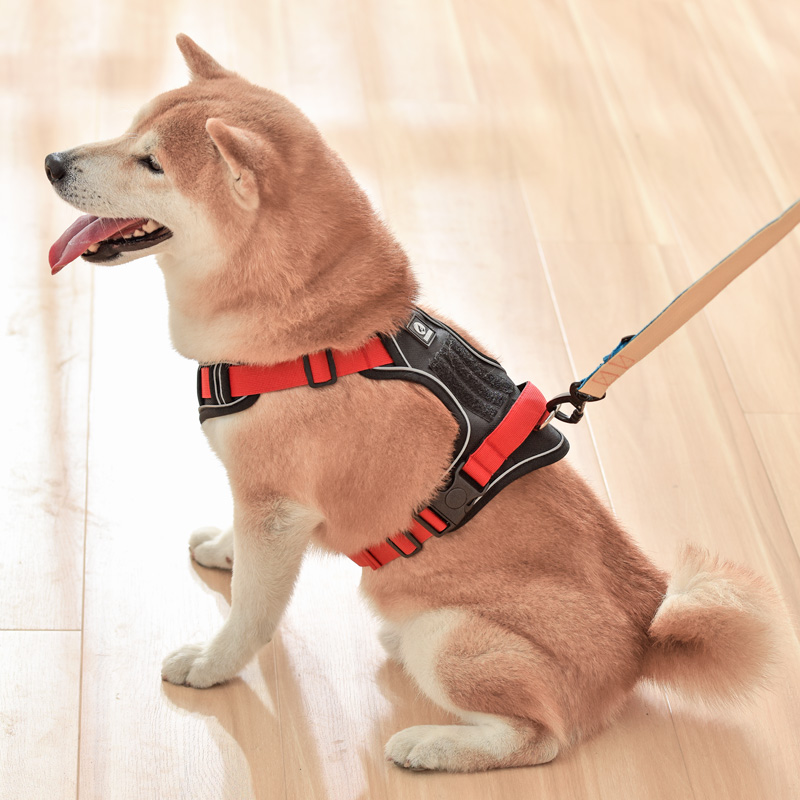 犬 ハーネス アクティブ ウォーカー ハーネス