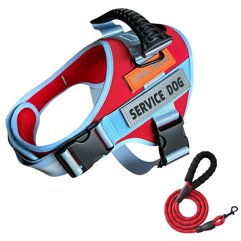 https://fulmo-img-server.com/wonderfulharness/6c3fa944-8c03-4593-b476-451bd86188e4.jpg