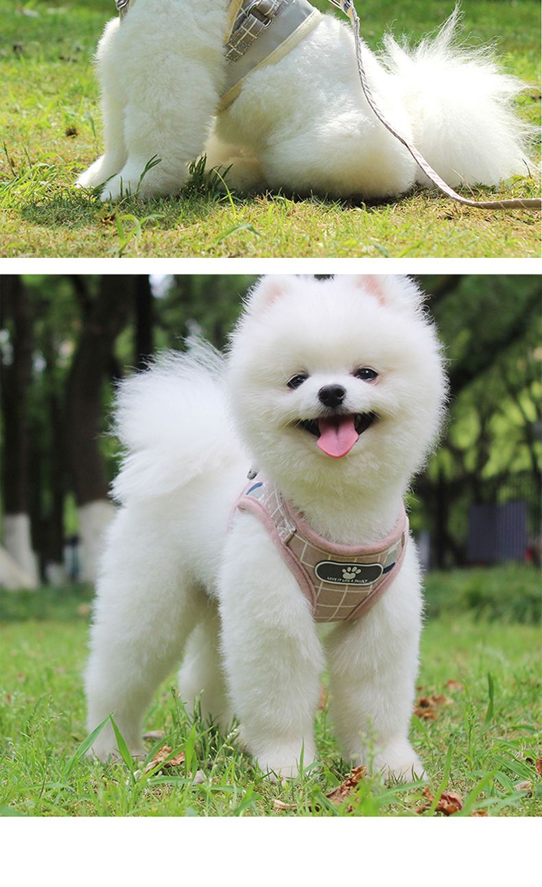 犬 ハーネス メッシュ通気ベーシックハーネス